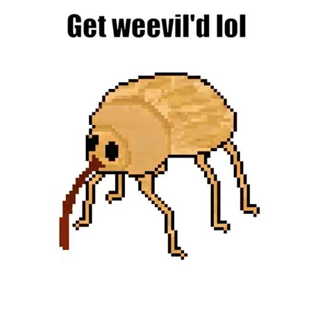 weeviletime .
